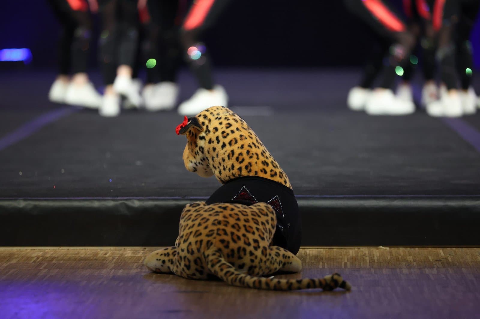 XTREAM Fitness Dance Workout